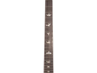 PRS Custom 24 Thin Black Gold Wraparound Burst PRS Custom 24 Thin Black Gold Wraparound Burst